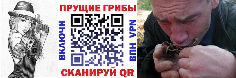 Галлюциногенные грибы Magic Shrooms  закладка  Афипский 