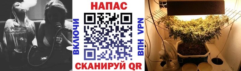 Каннабис тримм хочу наркоту Афипский